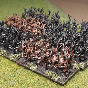 Dryaden3 (2).jpg