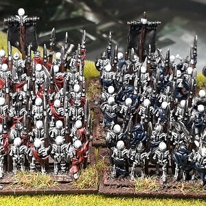 Skeletthorde (4).jpg