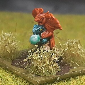 Skinkpriester1 (2).jpg