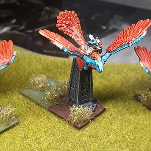 Skinkflieger (1).jpg