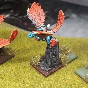 Skinkflieger (2).jpg