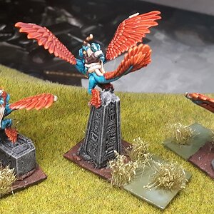 Skinkflieger (3).jpg