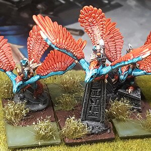 Skinkflieger (5).jpg