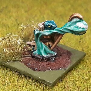 Skinkpriester2 (1).jpg