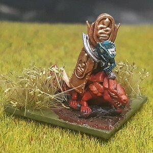 Skinkchef1 (1).jpg