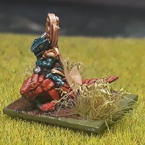 Skinkchef1 (2).jpg
