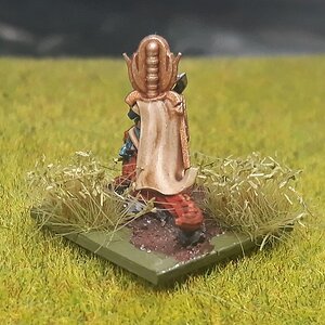 Skinkchef1 (3).jpg