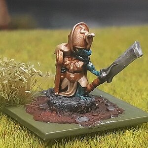 Skinkchef2 (1).jpg