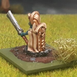 Skinkchef2 (2).jpg