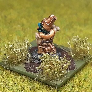 Skinkschamane3 (2).jpg