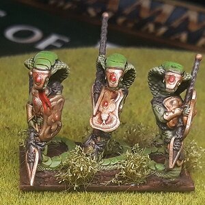 Schlangengarde1 (4).jpg