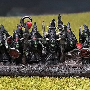 Nachtgoblinregi1 (1).jpg