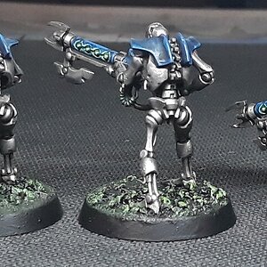 Necronkrieger1 (3).jpg