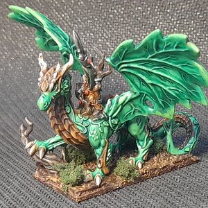 Walddrache (1).jpg