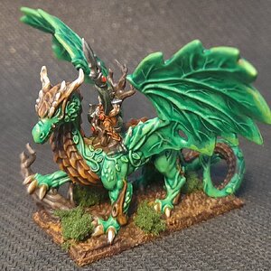 Walddrache (6).jpg