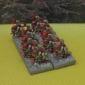Symbionten (3).jpg