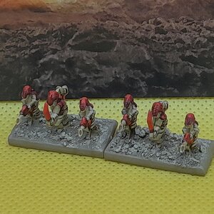 Krieger (2).jpg