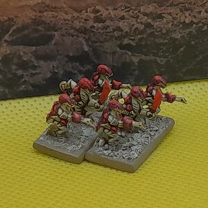 Krieger (3).jpg
