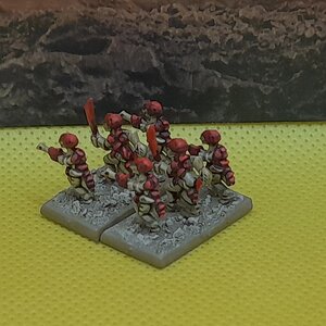 Krieger (5).jpg
