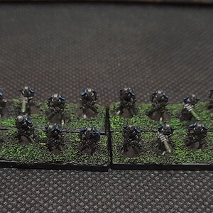 Krieger1 (1).jpg