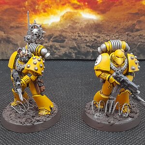 IF2 (1).jpg