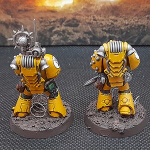 IF2 (3).jpg