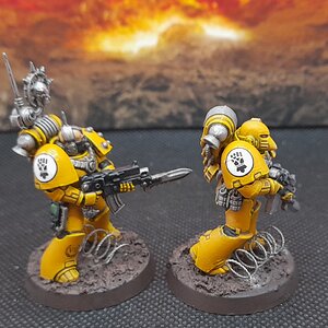 IF2 (4).jpg