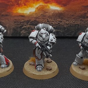 WhiteScars1 (1).jpg