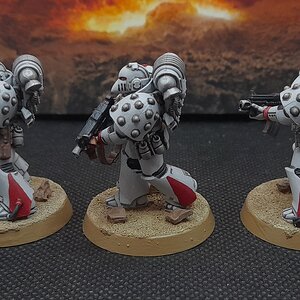 WhiteScars1 (2).jpg