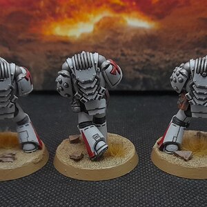 WhiteScars1 (3).jpg