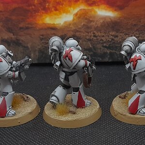 WhiteScars1 (4).jpg