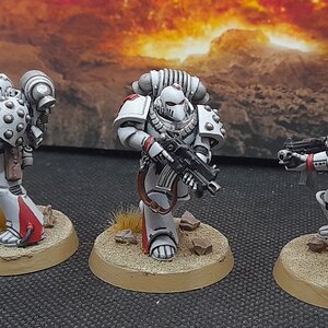 WhiteScars1 (5).jpg