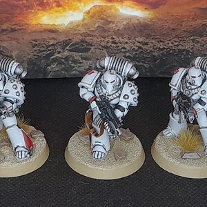 WhiteScars1 (1).jpg