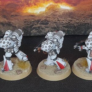 WhiteScars1 (2).jpg
