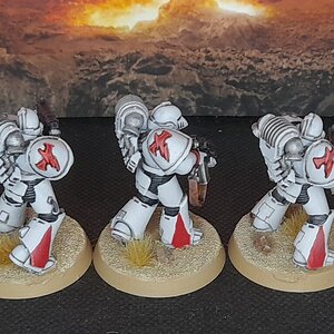 WhiteScars1 (3).jpg