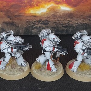 WhiteScars1 (4).jpg