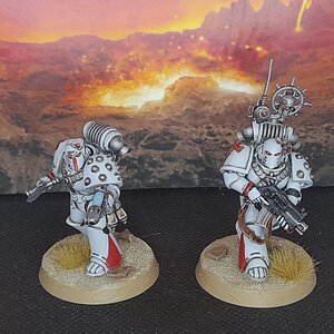 WhiteScars2 (1).jpg
