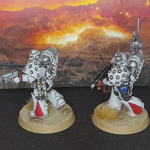 WhiteScars2 (2).jpg
