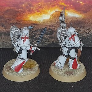 WhiteScars2 (3).jpg