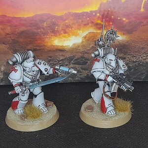 WhiteScars2 (4).jpg