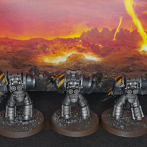 IW_Cata (3).jpg