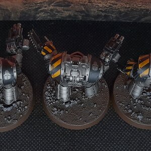 IW_Cata (4).jpg