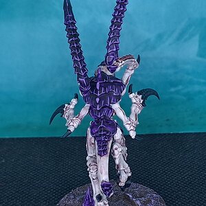 Leaper1 (3).jpg