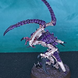 Leaper2 (2).jpg