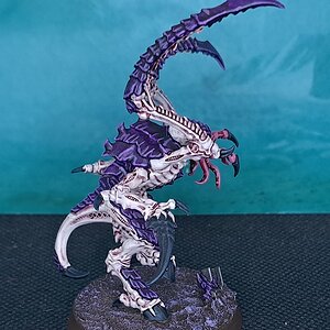 Leaper2 (4).jpg