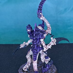 Leaper3 (3).jpg