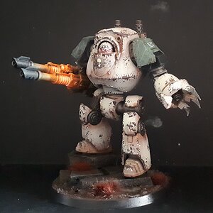 DG Contemptor.jpg