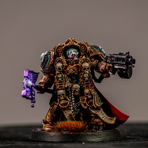 oli-5.jpg