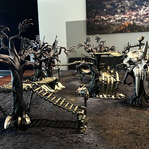 IMG_2895.jpeg