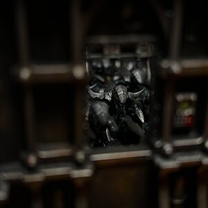 IMG_2904.jpeg